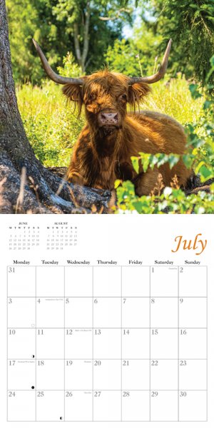 zz-2023-calendar-highland-cows-2for-8v-op