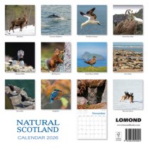 2026 Calendar Natural Scotland