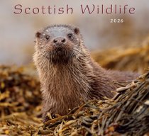2026 Calendar Scottish Wildlife