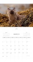 2026 Calendar Scottish Wildlife