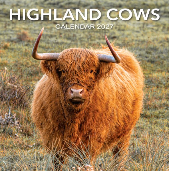 2027 Calendar Highland Cows (2 for 10v)