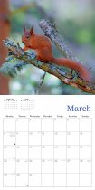 2027 Calendar Natural Scotland (2 for 10v)