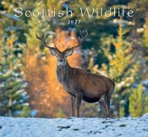 2027 Calendar Scottish Wildlife